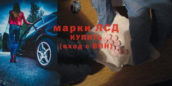 шишки Беломорск